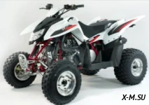  Квадроцикл ACCESS SP 300 SPORT