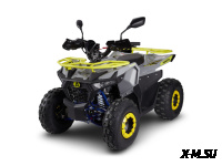 Квадроцикл Avantis Ray 8 Lux