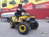 Квадроцикл PROMAX STORM 280 LUX