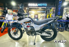 Мотоцикл Regulmoto TE PRO NB300