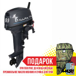 Лодочный мотор ALLFA CG Т9.9(20)MAX