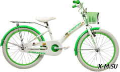 Велосипед 20 KROSTEK MICKEY (500005)