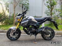 Мотоцикл PROMAX MSX150 CROM (49)