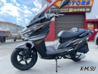 МаксиСкутер PROMAX MAGNUS 200(49)