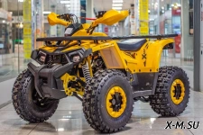 Квадроцикл TAO MOTORS ATV SHARK (125cc) - L