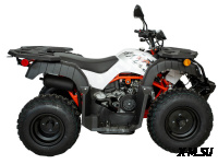 Квадрицикл KAYO AU150 CVT (белый пластик 2024 г.) (ПТС)