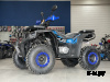 Квадроцикл PROMAX TAURUS 300