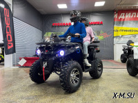 Квадроцикл PROMAX RENEGADE 280 LONG WINCH PRO (2025)