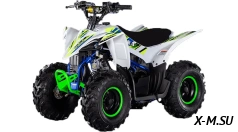 Квадроцикл Mikilon Rapide 110 (без АКБ)