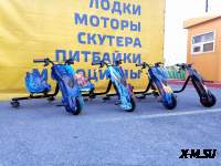 Электроскутер Дрифт Карт Drift-Trike Promax Mi101 огонь и лед