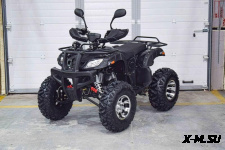 Квадроцикл Grizzly 200