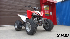 Квадроцикл YAMAHA RAPTOR 300 replika