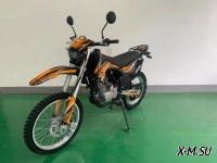 Мотоцикл JHL MOTO JHL MX300 PR300 (175FMN)