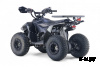Квадроцикл RIVERTOYS LEON 49CC