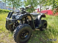 Квадроцикл PROMAX ATV 250