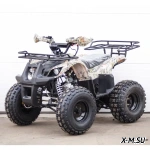 Квадроцикл STALKER 125 Fox