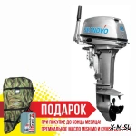 Лодочный мотор SEANOVO SN18FFEBS